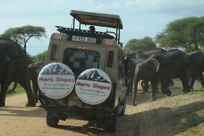 3 Days Big 5 Tour and Culture in Tanzania - Day 2 in Ngorongoro Crater: Big Five Odds in a Single Bowl