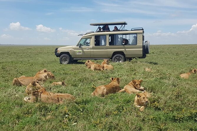 3 Days Big 5 Tour and Culture in Tanzania - Day 3 at Lake Eyasi: Tatoga Culture and a Hadzabe Hunting-Style Day