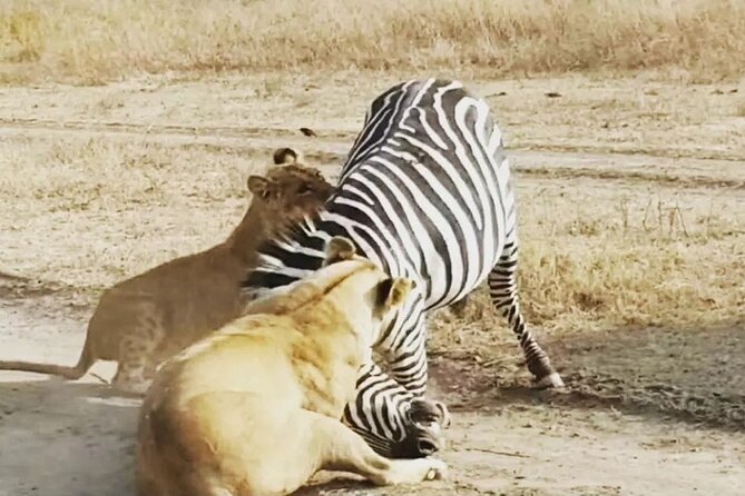 3-Days Budget Lodge Safari - Tarangire, Ngorongoro & Lake Manyara - Lake Manyara: Groundwater Forest Shade and Tree-Climbing Lions