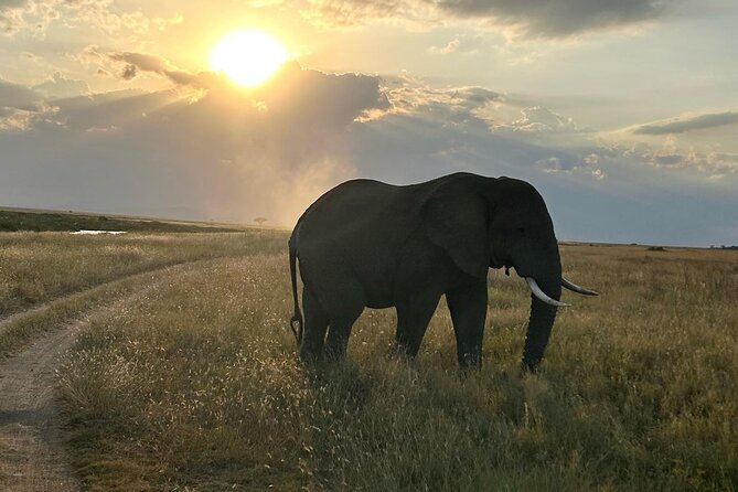 3-Days Budget Lodge Safari - Tarangire, Ngorongoro & Lake Manyara - What This Safari Feels Like Day to Day