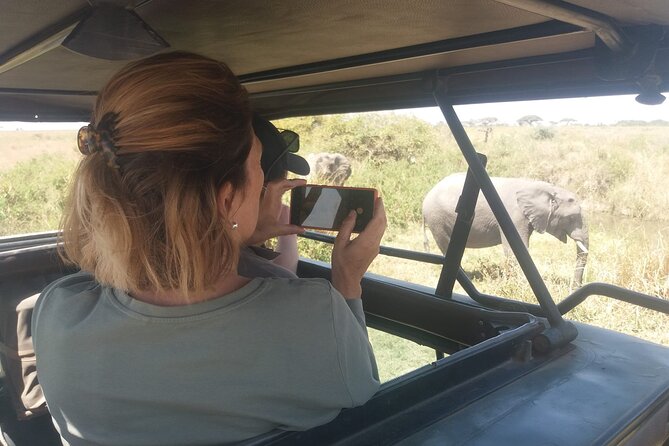 3-Days Budget Lodge Safari - Tarangire, Ngorongoro & Lake Manyara - Who Should Book This 3-Day Safari