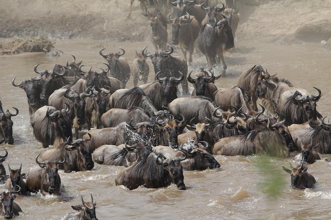 3 Days Camping Safari Tarangire, Lake Manyara and Ngorongoro Crater - Your guide can make or break it, and here’s what I’d watch for