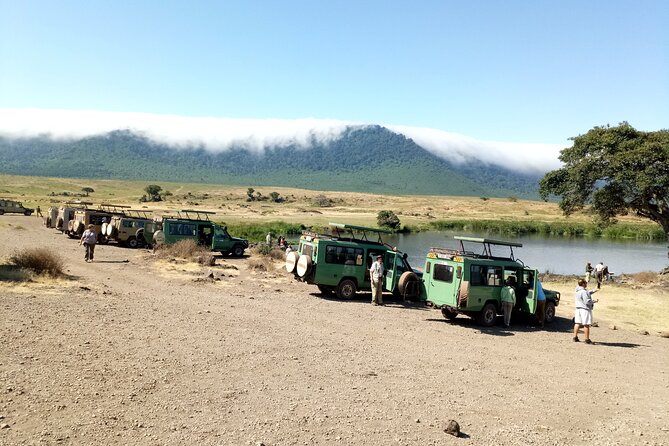 3 Days Exploring Serengeti & Ngorongoro Crater from Arusha - Wildlife viewing: setting expectations so the safari feels rewarding