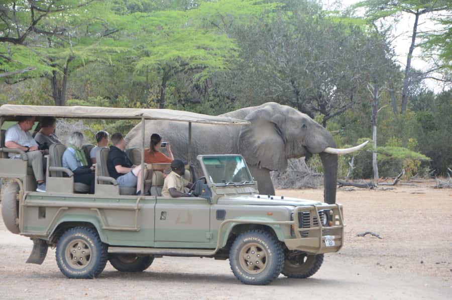 3 Days Flight Package Zanzibar to Nyerere/Selous - Key things to know before you go