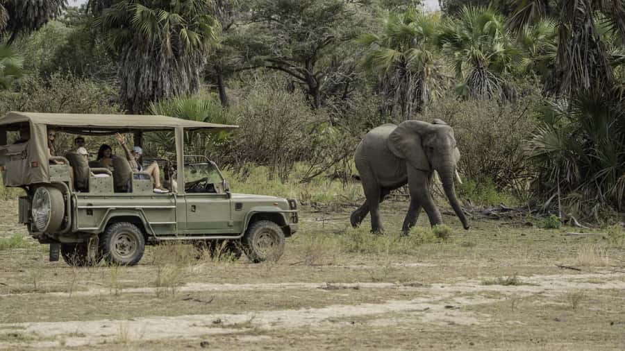 3 Days Flight Package Zanzibar to Nyerere/Selous - Day 3: Maasai culture in the morning, then fly back to Zanzibar