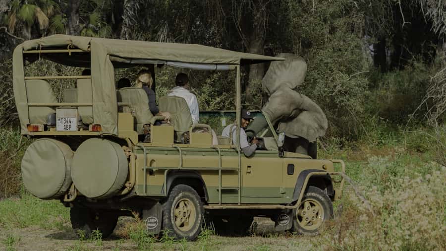 3 Days Flight Package Zanzibar to Nyerere/Selous - Getting the most out of your days