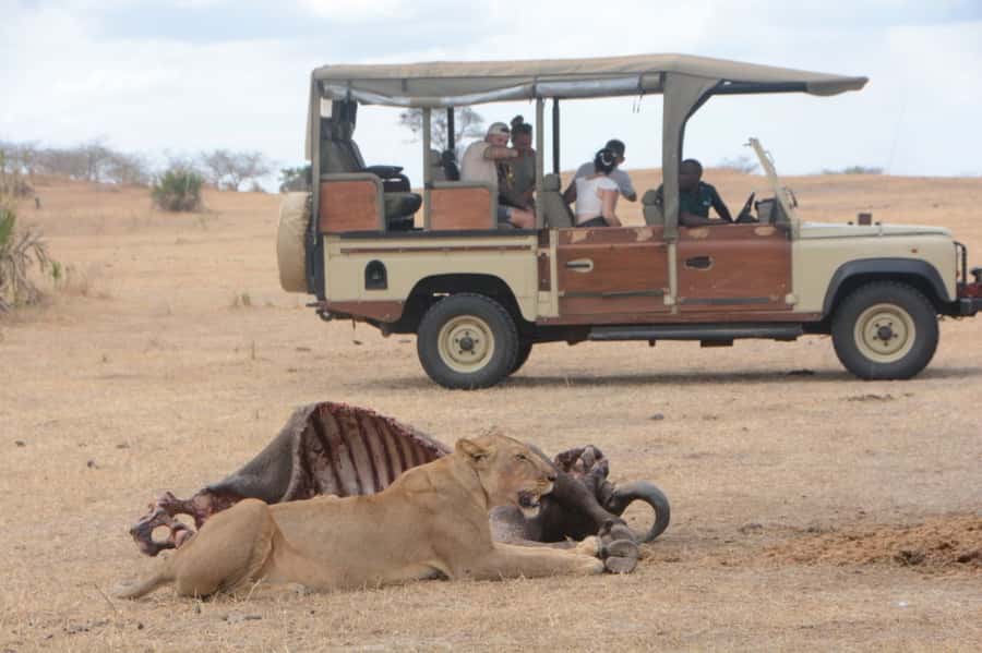 3 Days Flight Package Zanzibar to Nyerere/Selous - Day 1: Full-day game drive after flying in