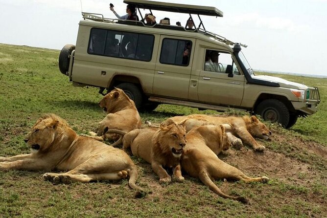 3 Days Fly in & Out Serengeti Park - The Big Idea: Why Flying Into Serengeti Changes Everything