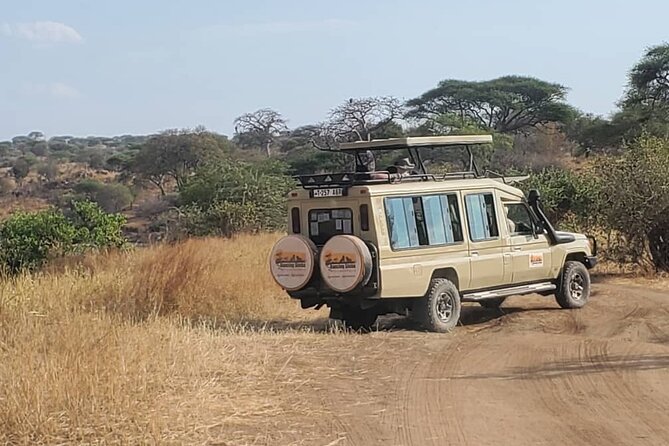 3 Days Fly in & Out Serengeti Park - The Guide Factor: Communication, Names You Might Be Matched With, and On-the-Ground Control