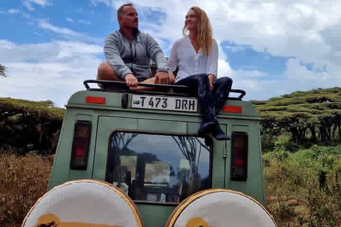 3 Days Fly in & Out Serengeti Park - Lodging and Meals: Serengeti Luxury Lodge Plus Real Safari Fuel