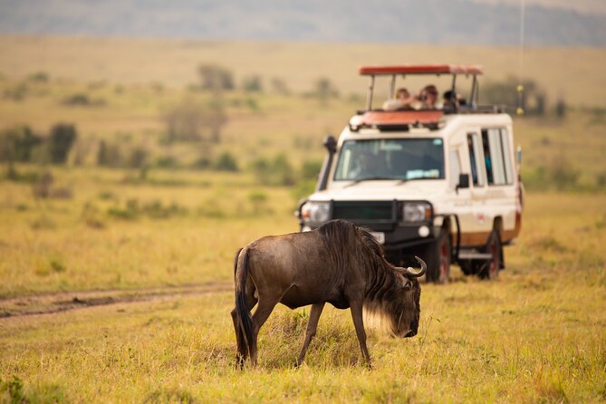 3 days fly in safari - Day 2: Early Animal Viewing, Lunch at the Lodge, Then a Move Toward Ngorongoro