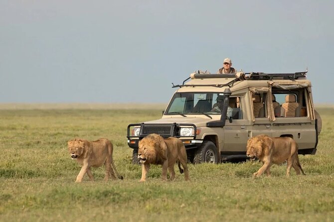 3 Days Group Joining Serengeti and Ngorongoro Safari - Serengeti game drives and the migration angle you should understand