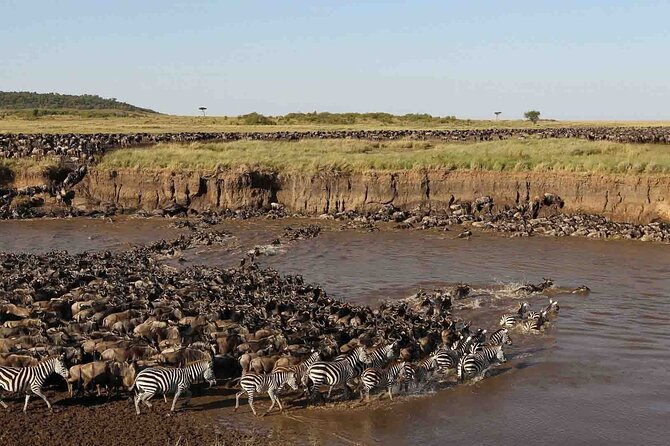 3 Days Group Joining Serengeti and Ngorongoro Safari - Price and what you really get for $765 per person