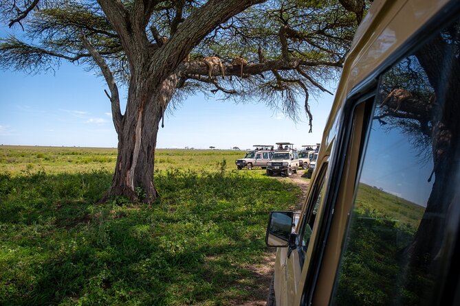 3 Days Group Safari Serengeti & Ngorongoro - Key things that make this safari tick
