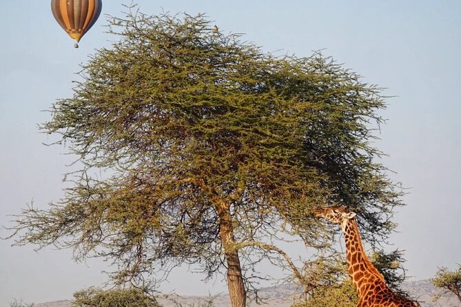 3 Days Group Safari Serengeti & Ngorongoro - Why this 3-day Serengeti and Ngorongoro route is great value
