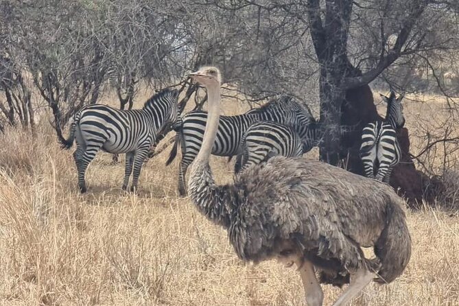 3 Days Group Safari Serengeti & Ngorongoro - Price and what is included in that $820