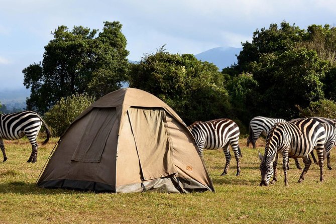 3 Days Joined Group Safari Ngorongoro,Lake Manyara and Tarangire National Park - Day 1 Tarangire National Park: baobabs, acacia, and a full first day of spotting
