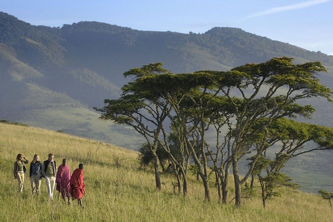 3 Days Joined Group Safari Ngorongoro,Lake Manyara and Tarangire National Park - Day 2 Lake Manyara: swamps, birds, and the flamingo angle