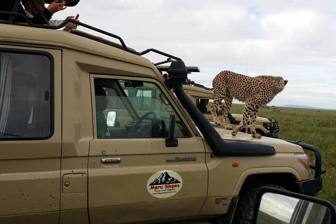 3 Days Lake Manyara, Ngorogoro Crater, Tarangire National Park - Is the pace right for you?
