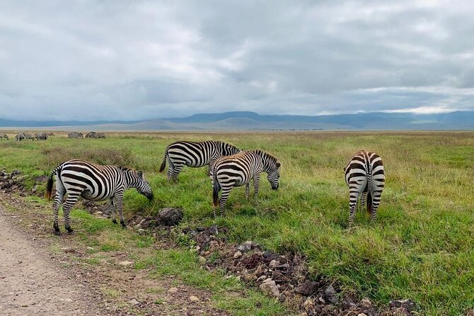 3 Days Lake Manyara, Tarangire, Ngorongoro Crater group (Camping) - Day 3 Lake Manyara: full-day viewing plus a 5pm Arusha return