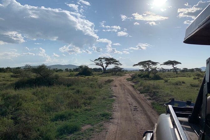 3 Days Lake Manyara, Tarangire, Ngorongoro Crater group (Camping) - Guides and organization that make the difference (Emanuel, Charles, John, Shabani, Abdul)