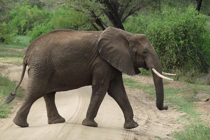 3 Days Lodge Safari - Price and value: what $1,374.93 actually buys you