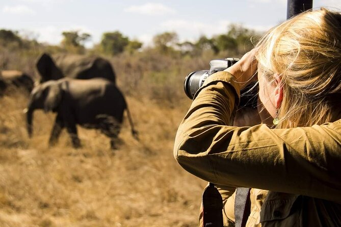 3-Days Lodge Safari in Tarangire, Ngorongoro Crater & Lake Manyara - Who This Safari Fits Best, and Who Might Want More Time