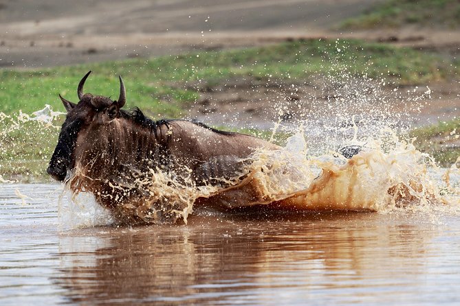 3 Days Luxury Lodge Safari in Tanzania - Practical Considerations: Timing, Heat, and How to Pack