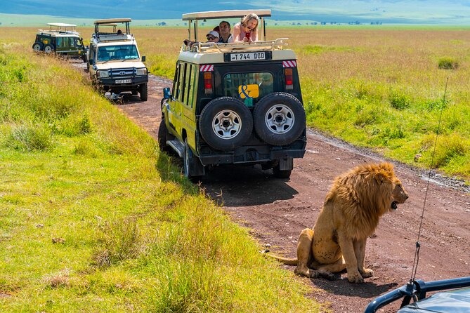 3 days Luxury Safari Tour in Tanzania - Day 1 in Tarangire National Park: elephants, baobabs, and a picnic lunch