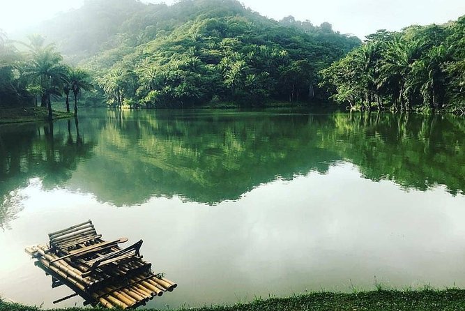 3 Days Magoroto forest tour - Why Magoroto Forest feels like a real retreat, not a checklist