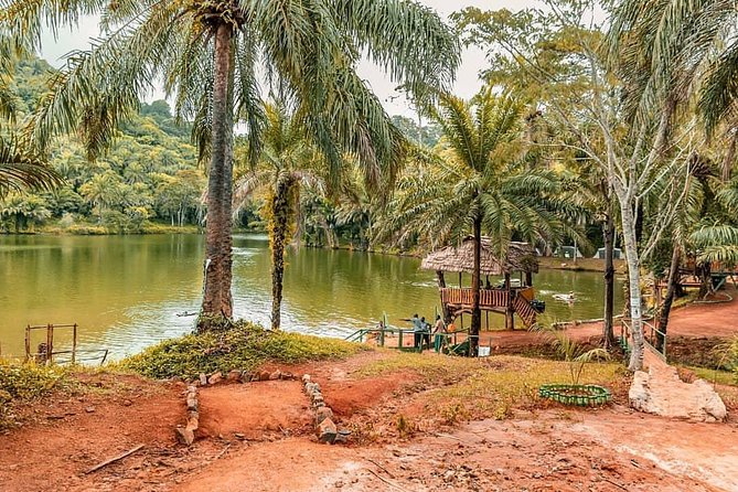 3 Days Magoroto forest tour - Hiking trails you can actually customize by fitness