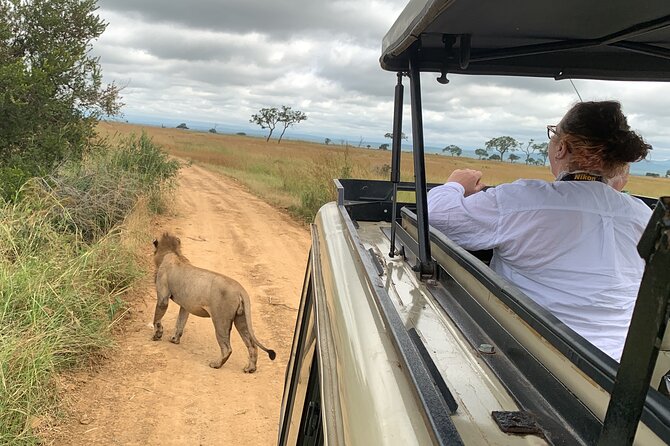 3 Days Mikumi National Park Private Tour - Key highlights to know before you go