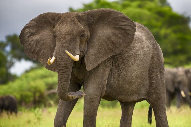 3 Days Mikumi National Park Private Tour - Price and value: what $641 per person covers