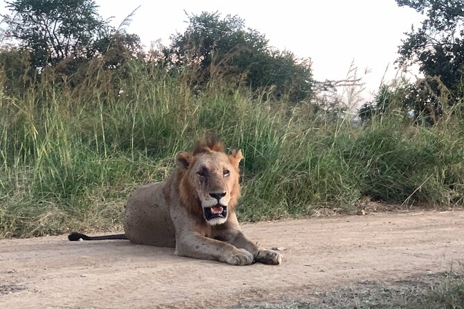 3 Days Mikumi National Park Private Tour - Who this tour fits best