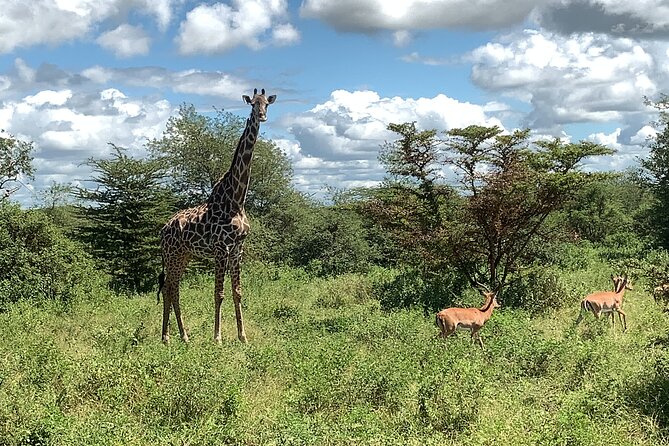 3 Days Mikumi National Park Private Tour - Private safari logistics: pickup, transport, and timing checks