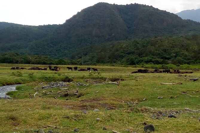 3 Days Mount Meru Trek - Day 1 from Arusha to Momela Gate, ranger escort, and Miriakamba Hut