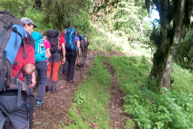 3 Days Mount Meru Trek - Wildlife, forests, and the route that keeps changing