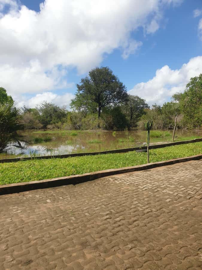 3 DAYS NYERERE NATIONAL PARK FROM ZANZIBAR BY FLIGHT. - Flying From Zanzibar to Nyerere: Why the First Day Starts So Fast