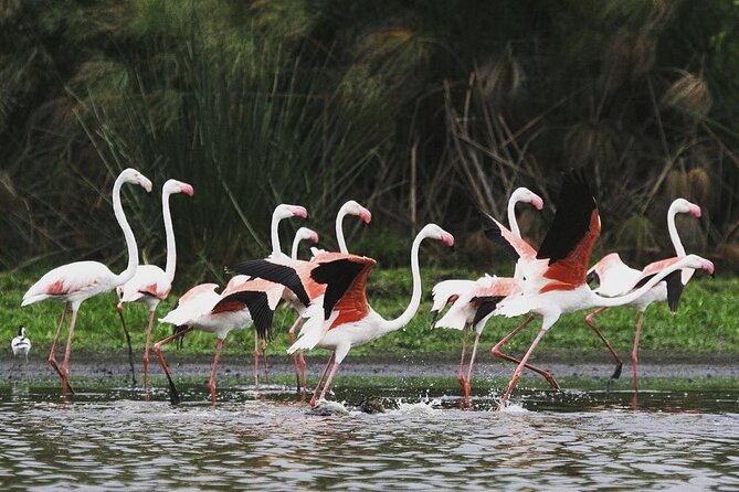 3 Days Nyerere National Park Safari (Selous Game Reserve) - The 6:00 am start and the 5-hour drive into Selous