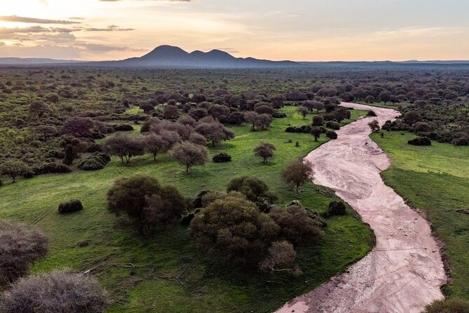3 Days Nyerere National Park Safari (Selous Game Reserve) - What to expect day-by-day, without the rush