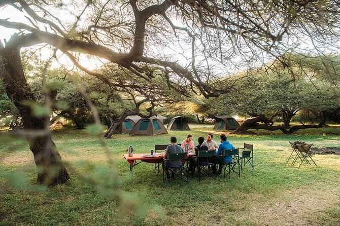 3 Days of Camping Bliss in Serengeti and Ngorongoro Crater - Camping comfort: what included gear really means for you