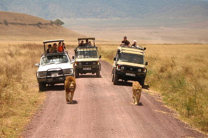 3 Days of Camping Bliss in Serengeti and Ngorongoro Crater - Day 3: the Ngorongoro crater descent, black rhino odds, then back to Arusha