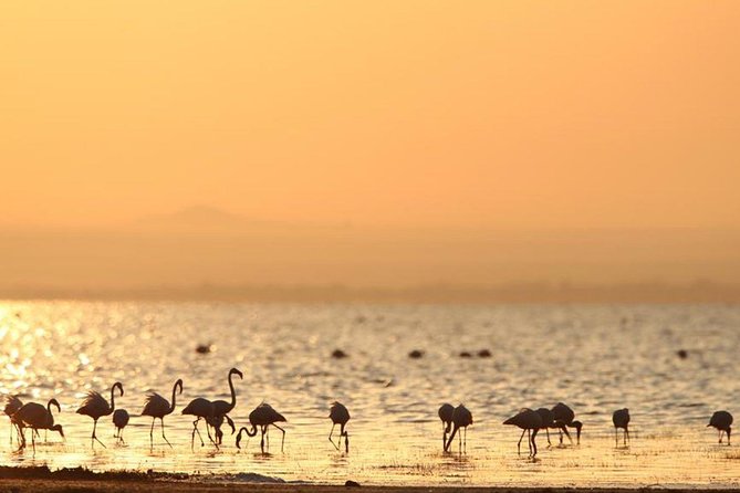 3 Days of Camping Bliss in Serengeti and Ngorongoro Crater - What you pay for: the real value behind the $840 price