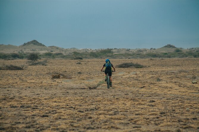 3 Days Private E-Bike Tour in West Kilimanjaro - West Kilimanjaro plains, Maasai land, and wildlife you can cycle beside