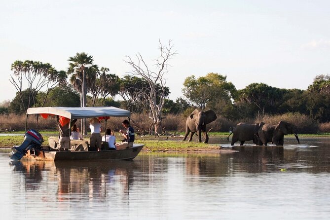 3-Days Private Nyerere NP Game Drive and Boat safari tour - Key Things That Make This 3-Day Nyerere Safari Worth Your Time