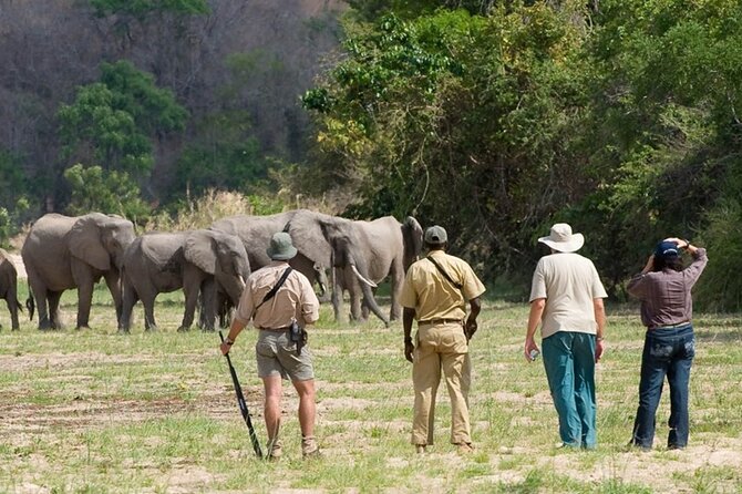 3-Days Private Nyerere NP Game Drive and Boat safari tour - Day 2: The Big Game Drive Day, Including Packed Lunch Inside the Park