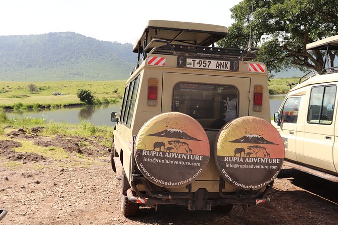 3 Days Private Safari - manyara, Ngorongoro & Tarangire - Day 3 in Tarangire: river magnets, baobabs, and elephant herds