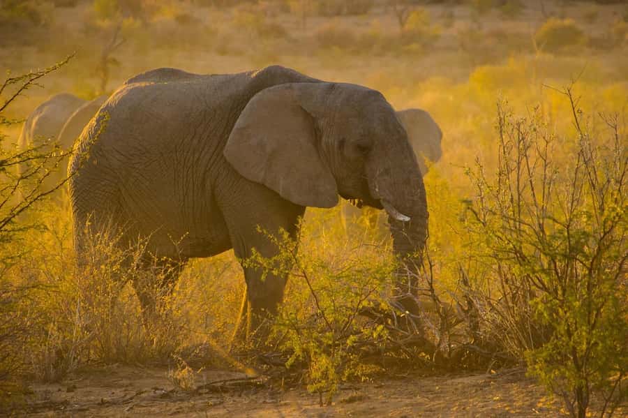 3-Days safari adventure to Mikumi N. Park from Dar-es-Salaam - Dar-es-Salaam to Morogoro: The Drive That Sets the Tone