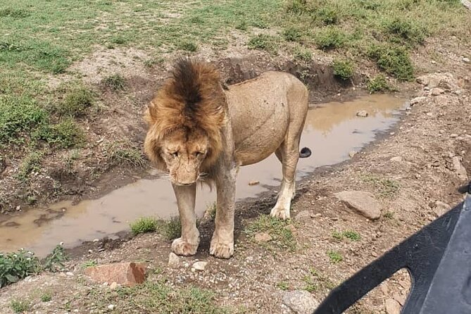 3 days safari in North- Ngorongoro, Tarangire, Mt. Oldeani - How the 3-day route moves, and why that matters