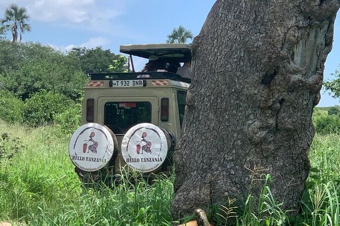 3 days safari in North- Ngorongoro, Tarangire, Mt. Oldeani - Tarangire National Park: elephants, birds, and a calmer feel